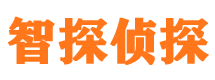 凤翔市私家侦探